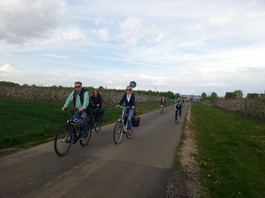 Blütenfahrt 2015
