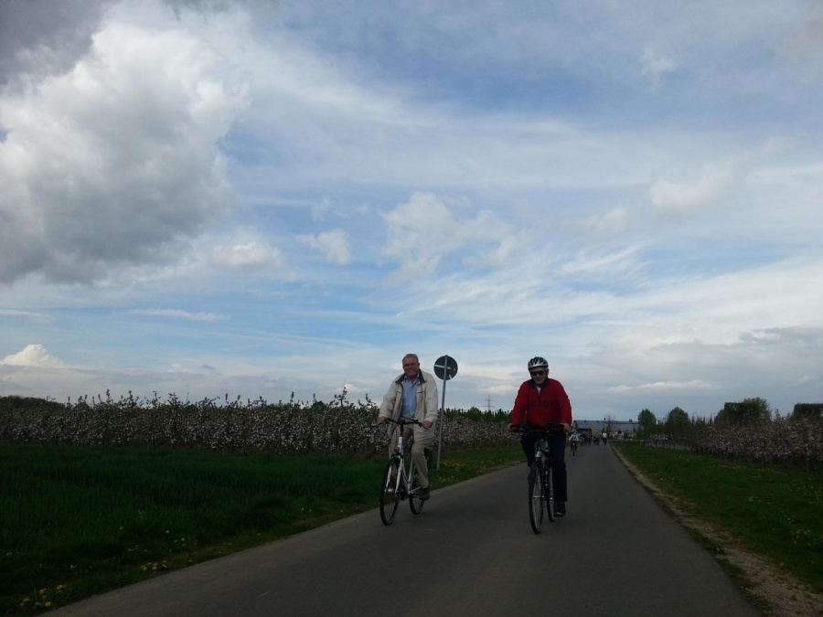 Blütenfahrt 2015