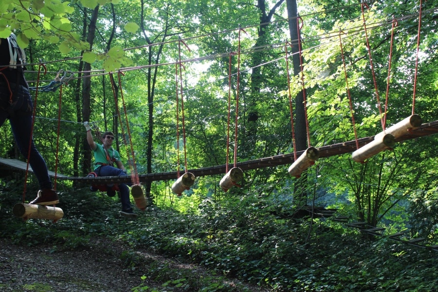 JU Meckenheim im Kletterwald