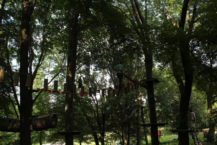 JU Meckenheim im Kletterwald