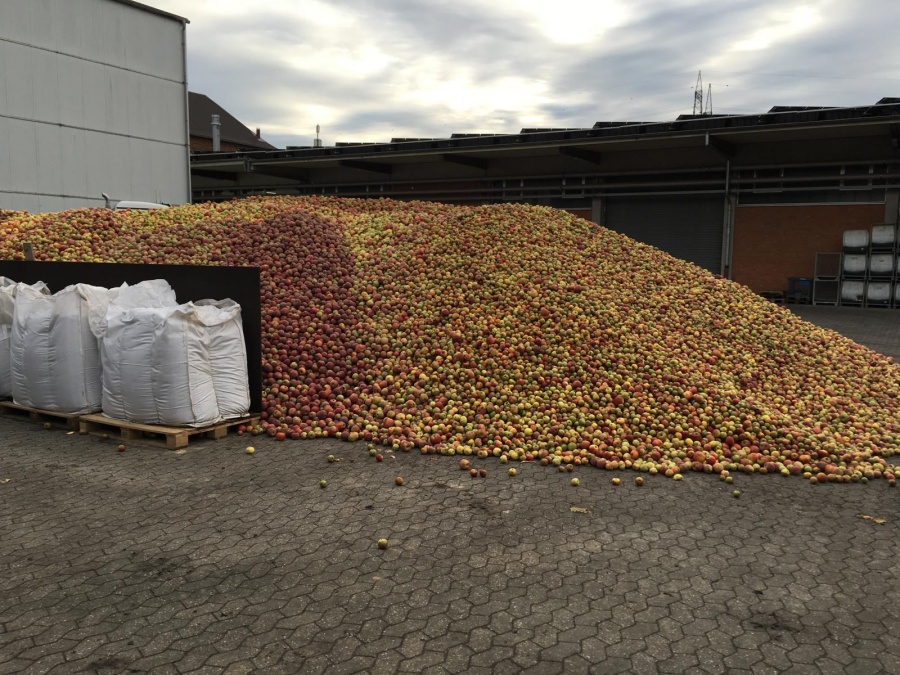 Besuch der Grafschafter Krautfabrtik