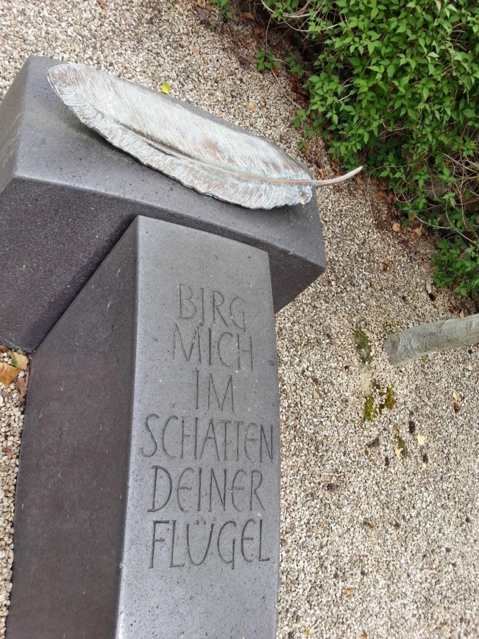 SenU - \"Rheinfahrt\" nach Unkel