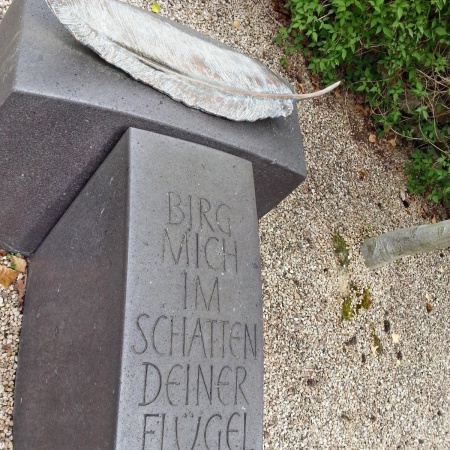 Größeres Bild ansehen